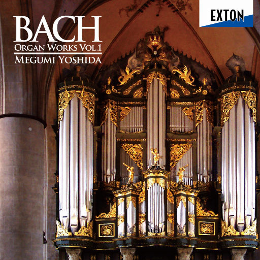 芭乐视频网页版
